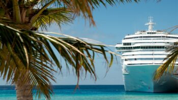 white luxury cruise ship and palm tree