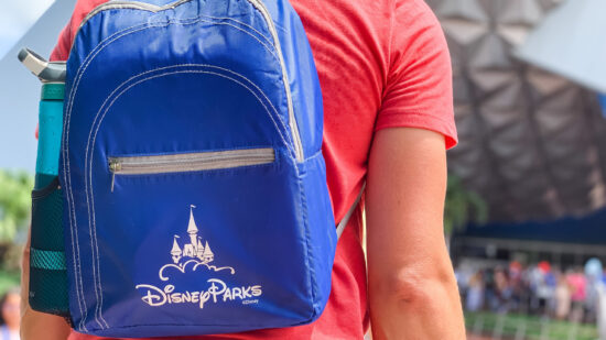 man carrying a backpack at disney world