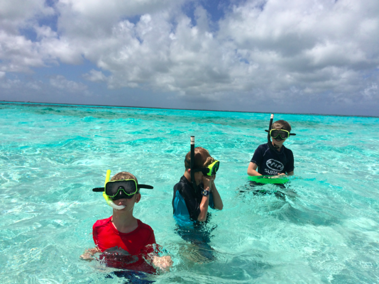 Snorkeling in the Caribbean Sea off the coast of Grand Cayman Island. 