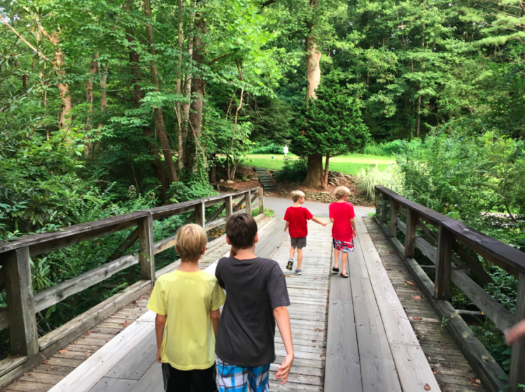 Our boys were fast friends, pairing off to talk during a walk near our cabin in Gatlinburg, Tennessee, the gateway to Great Smoky Mountains National Park