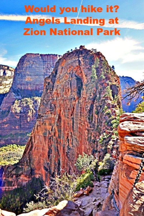 Angels Landing hike in Utah's Zion National Park is not for everyone, but for those who complete it is a life time adventure.