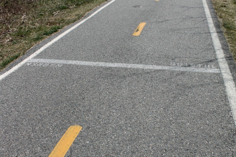 White painted town line markers on the East Bay Bike Path.