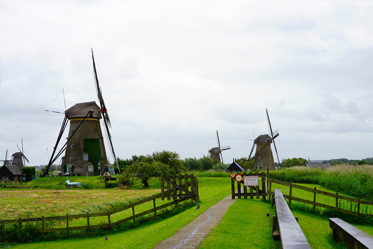 Known for its windmills and canals, the Netherlands is a very family friendly country. Here are 7 fun things to do in the Netherlands with Kids.