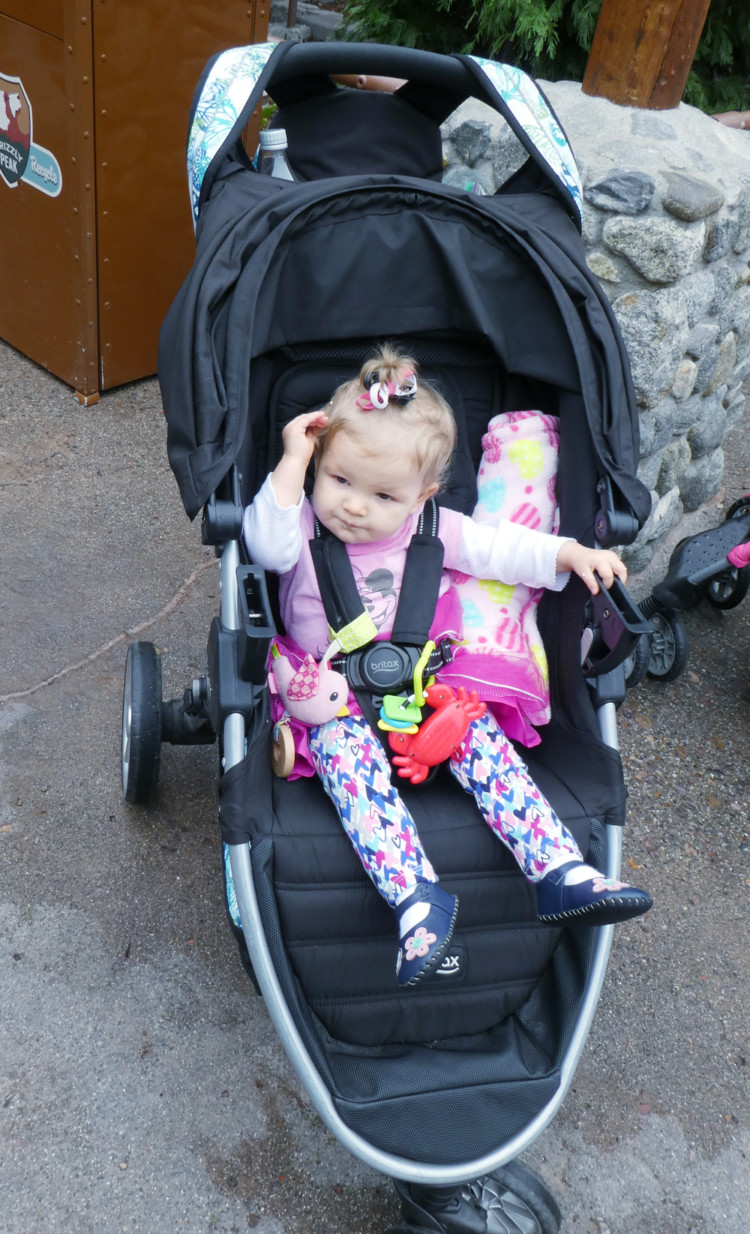 Wondering what to do about strollers at Disney parks? If you're planning a Disneyland or Disney World vacation here are all the tips you need on whether to bring your own, rent at the Disney parks, buy new or rent from a third party.