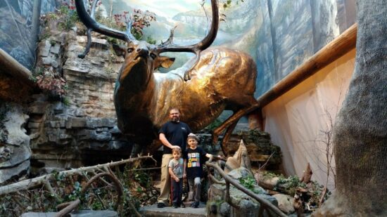 Where can you see polar bears and alligators? At outdoor retailer Bass Pro Shops! The best part? It's free family fun in Springfield MO!
