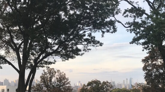 Did you know you can see the Manhattan skyline from Green-wood Cemetery
