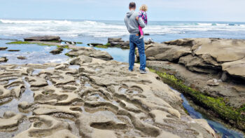 Looking for free San Diego family activities? These are the top 50 free summer things to do in San Diego with ideas for all families. #TMOM #SanDiego #California #Beach #Freein50States #FreeinSanDiego