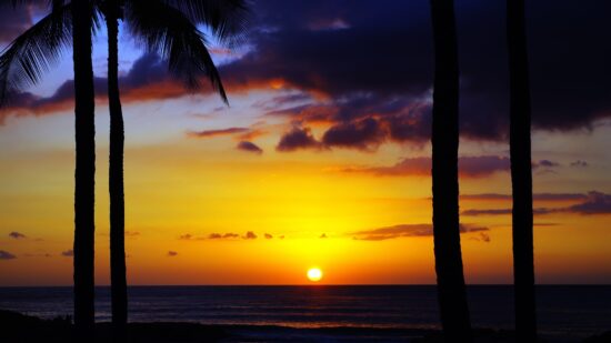 Free and cheap things to do in Oahu Hawaii - watch the sunset.
