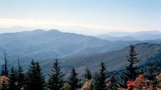 Do you like to hike? It's one of the top free things to do in Sevierville, TN