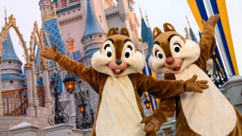 Chip and Dale at Cinderella Castle