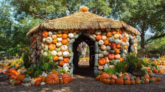 Pumpkin house in Dallas Arborteum