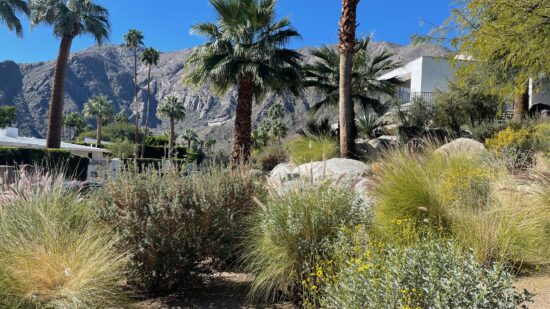 what to eat in Palm Springs