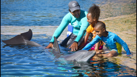 Atlantis with kids - help care for dolphins one-on-one