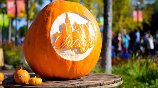 Pumpkin carved with the word "Chicago"