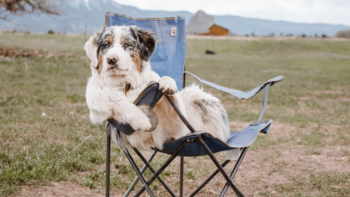 Best camping chair