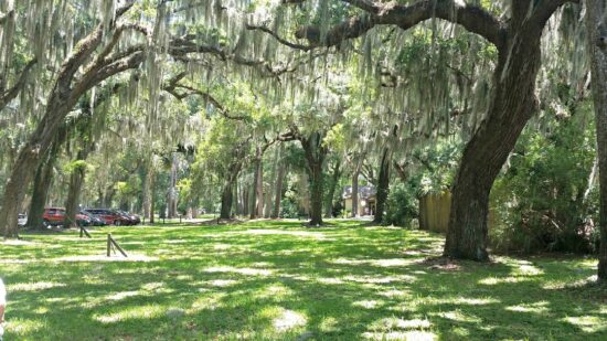 One of Georgia's Golden Isles, Jekyll Island is home to a treasure of fun and free activities just waiting for families to discover.