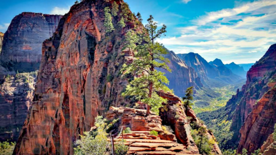 Angels Landing hike in Utah's Zion National Park is not for everyone, but for those who complete it is a life time adventure.